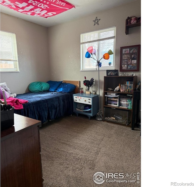 carpeted bedroom featuring multiple windows