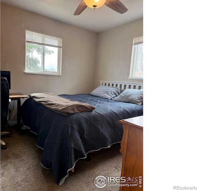 bedroom featuring multiple windows, carpet, and a ceiling fan