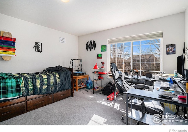 3937 Kenwood Cir, Johnstown, CO 80534 - view of carpeted bedroom