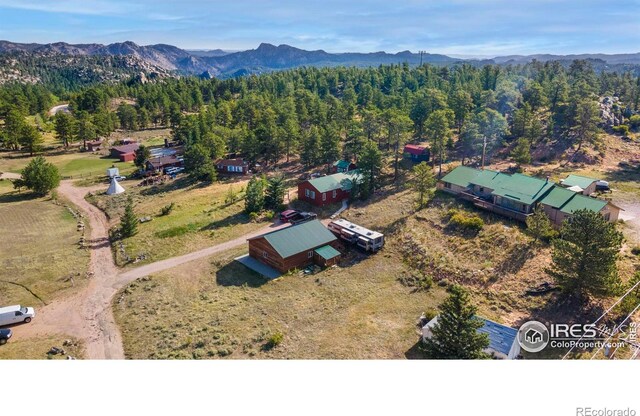 214 Grand Dr, Red Feather Lakes, CO 80545 - photo 35