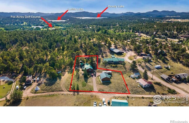 214 Grand Dr, Red Feather Lakes, CO 80545 - photo 39