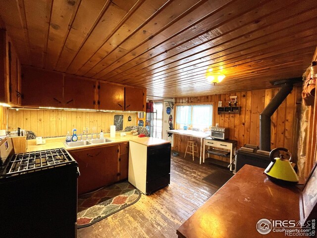 214 Grand Dr, Red Feather Lakes, CO 80545 - photo 9