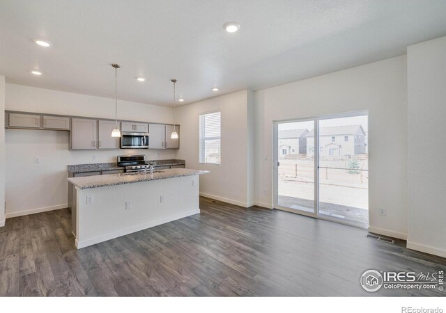 kitchen with a center island with sink, gray cabinets, dark wood-style flooring, and stainless steel appliances