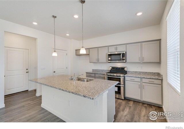 kitchen featuring wood finished floors, gray cabinets, stainless steel appliances, and a sink