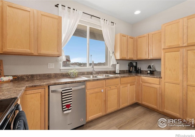 kitchen with dishwasher, light brown cabinets, and a sink