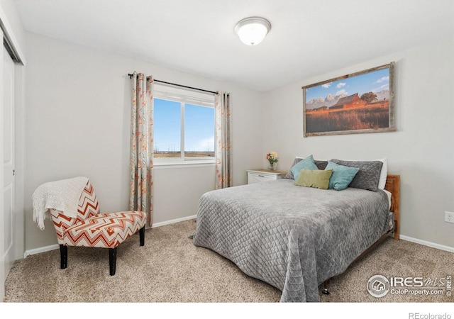 carpeted bedroom with baseboards and a closet