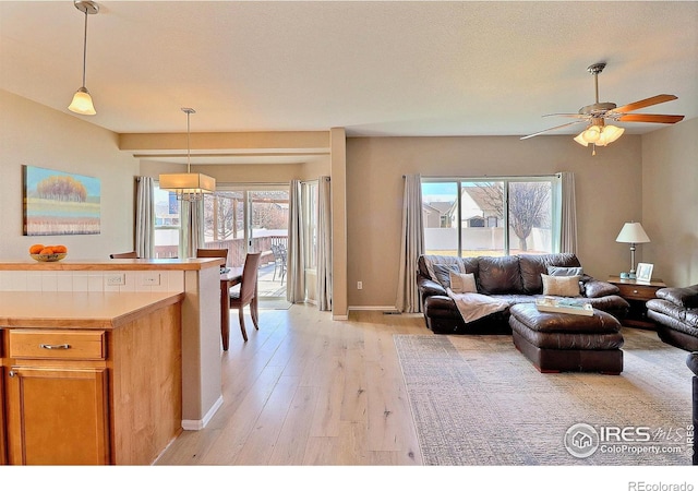 living area featuring baseboards, plenty of natural light, light wood-style floors, and ceiling fan