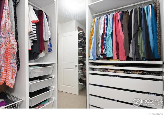 view of spacious closet