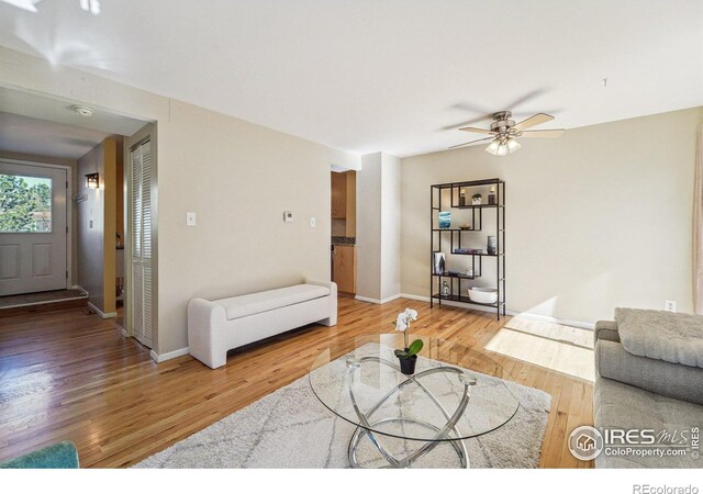 living area featuring ceiling fan, baseboards, and wood finished floors