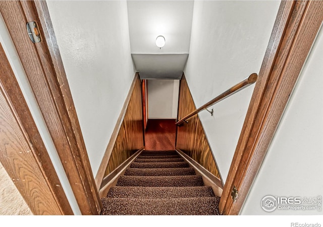 staircase with carpet