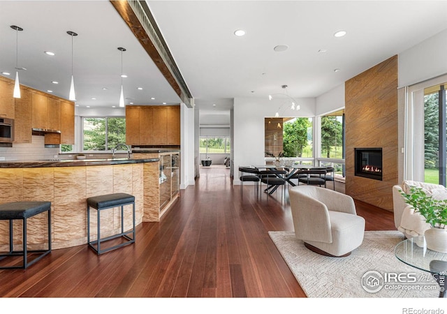 kitchen with brown cabinets, dark wood-style flooring, tasteful backsplash, modern cabinets, and open floor plan