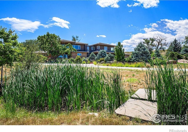 1000 Spring Dr, Boulder, CO 80303 - photo 8