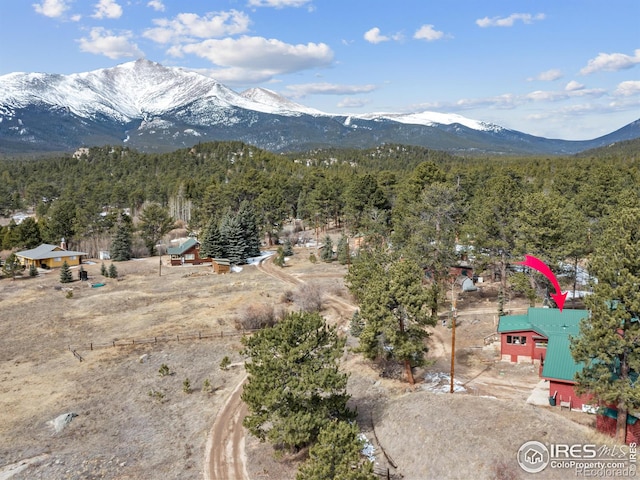 177 Bill Waite Rd, Allenspark, CO 80510 - view of mountain background with a heavily wooded area