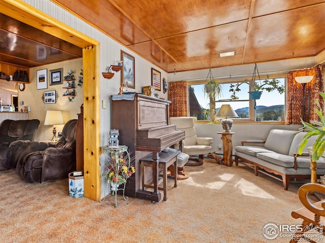 177 Bill Waite Rd, Allenspark, CO 80510 - living room featuring carpet flooring and wood ceiling