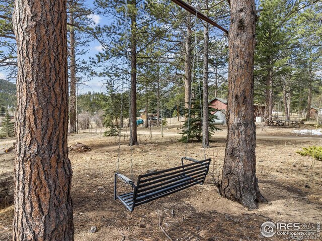 177 Bill Waite Rd, Allenspark, CO 80510 - view of yard