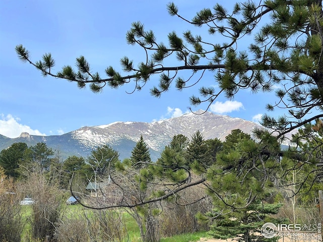 177 Bill Waite Rd, Allenspark, CO 80510 - view of mountain backdrop