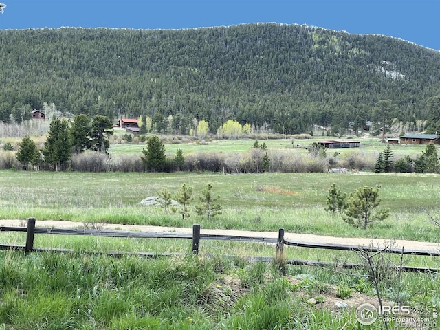 177 Bill Waite Rd, Allenspark, CO 80510 - view of mountain background with a forest and rural landscape