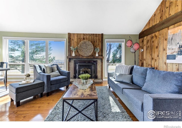 living room with a fireplace, lofted ceiling, and wood finished floors