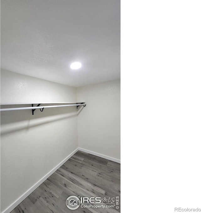 walk in closet featuring wood finished floors