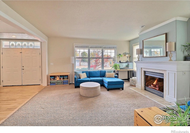 carpeted living room with a fireplace and a textured ceiling