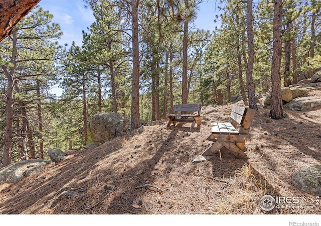 82 Grove Ct, Boulder, CO 80302 - view of yard