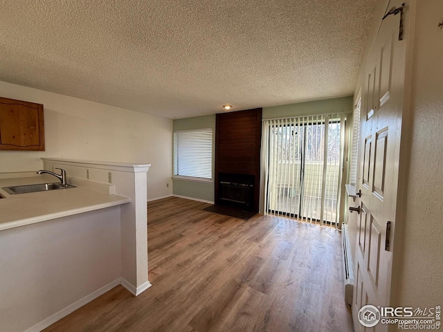 interior space with light wood-style flooring, baseboards, a wealth of natural light, and a sink