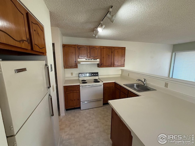 kitchen featuring under cabinet range hood, a sink, white appliances, brown cabinetry, and light floors