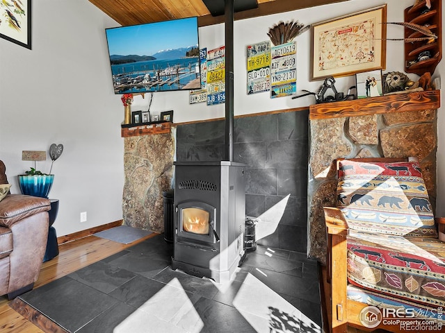 details featuring a wood stove, wood finished floors, and baseboards