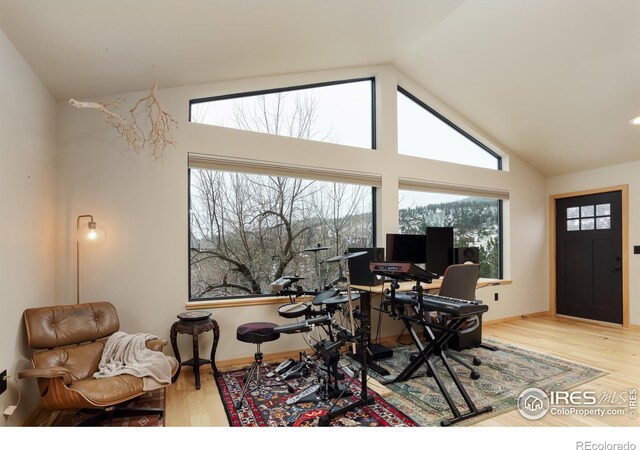 interior space featuring high vaulted ceiling, baseboards, and wood finished floors