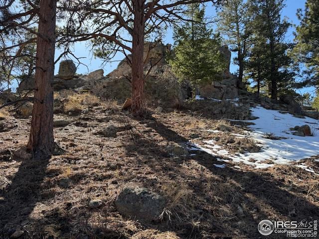 345 Green Pine Ct, Estes Park CO, 80517 land for sale