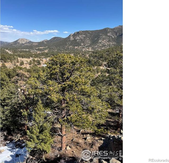 Listing photo 2 for 345 Green Pine Ct, Estes Park CO 80517