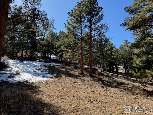 Listing photo 3 for 345 Green Pine Ct, Estes Park CO 80517