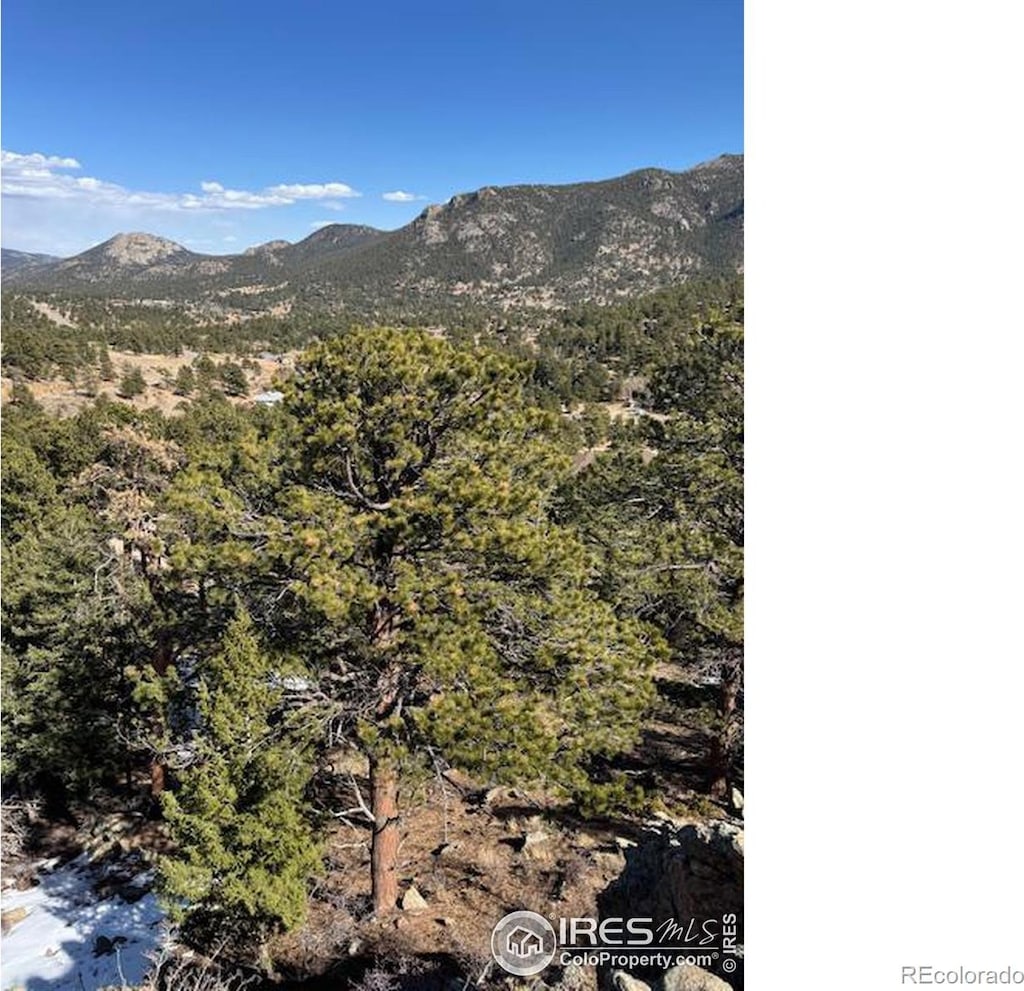345 Green Pine Ct, Estes Park, CO 80517 - photo 1