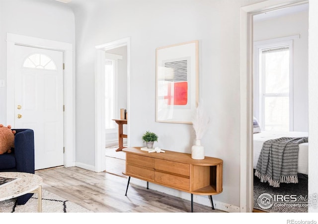 entryway featuring wood finished floors