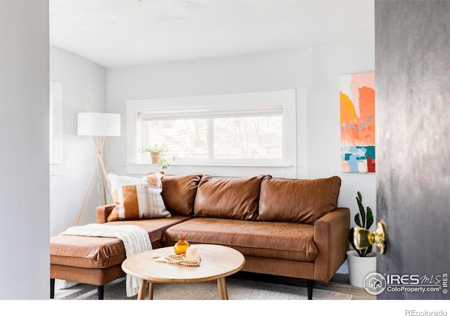 living area with wood finished floors