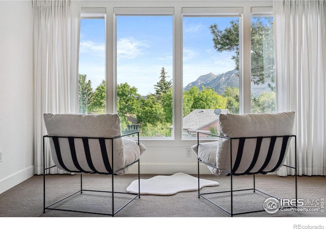 interior space featuring baseboards and a mountain view