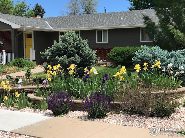 exterior space with brick siding and a shingled roof