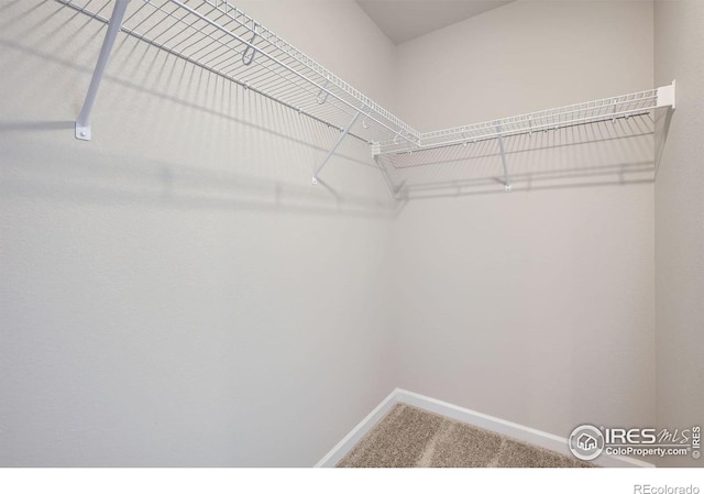 141 Robin Rd, Johnstown, CO 80534 - photo 15