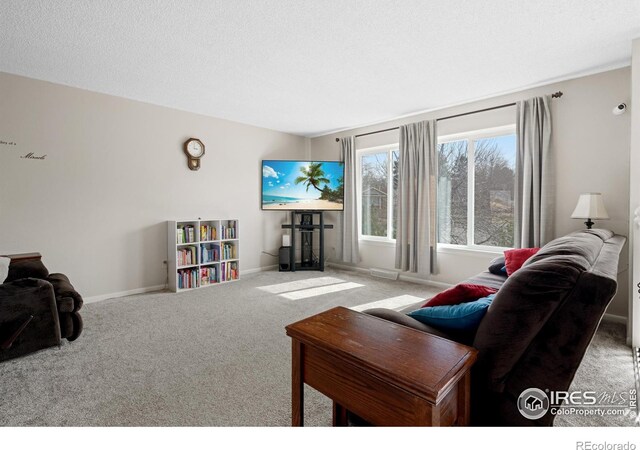 living area featuring a textured ceiling, baseboards, and carpet floors