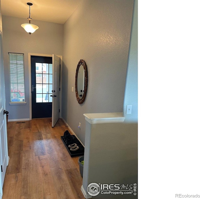 entrance foyer with wood finished floors