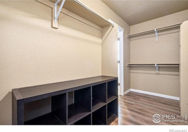 spacious closet with wood finished floors