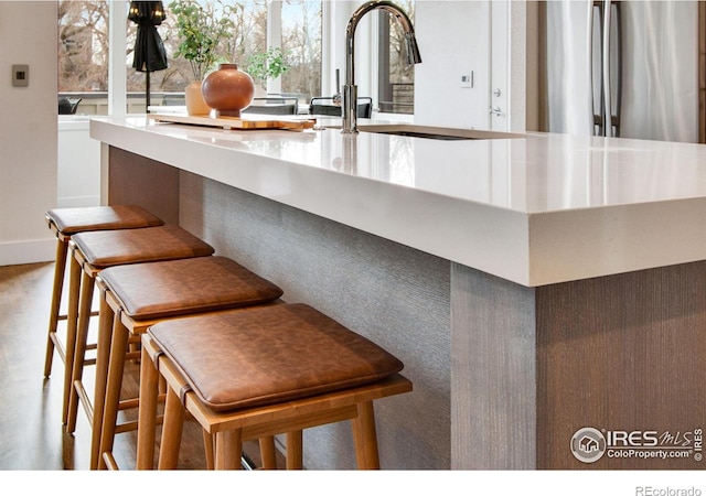 room details with a sink, wood finished floors, and freestanding refrigerator