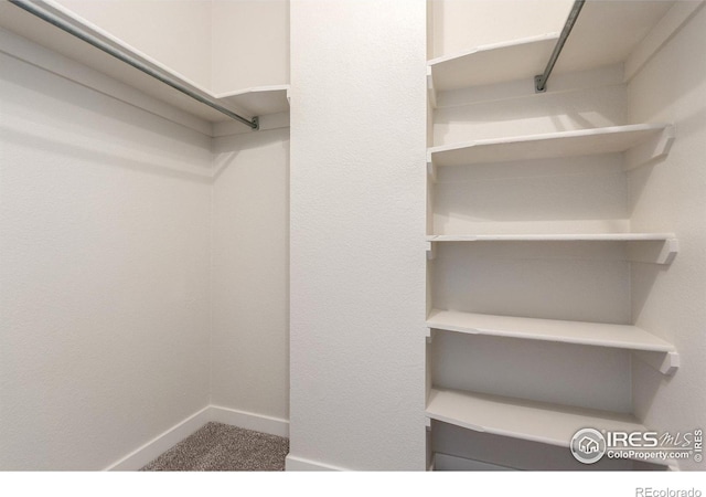 spacious closet with carpet flooring