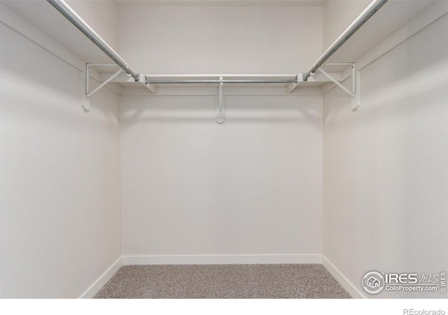 walk in closet featuring carpet