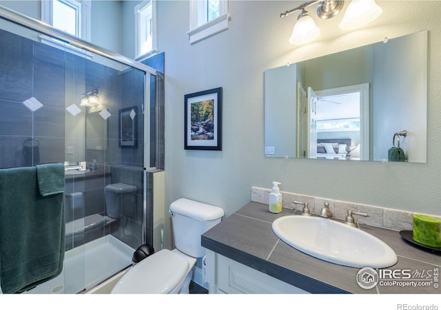 bathroom featuring vanity, a shower stall, and toilet