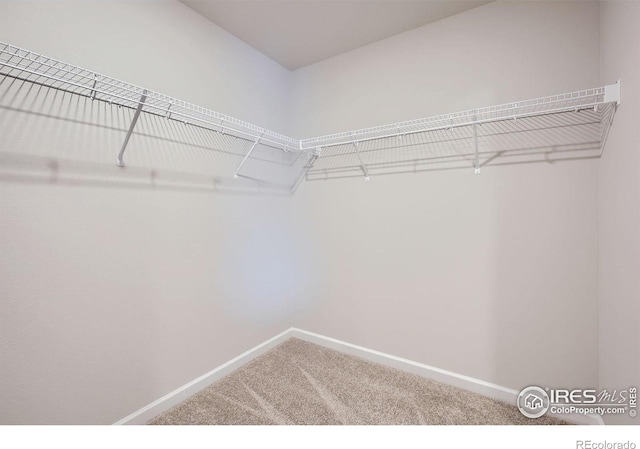 143 Robin Rd, Johnstown, CO 80534 - walk in closet featuring carpet