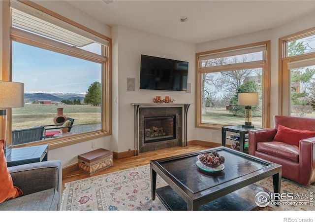 living room featuring wood finished floors, a fireplace, and baseboards