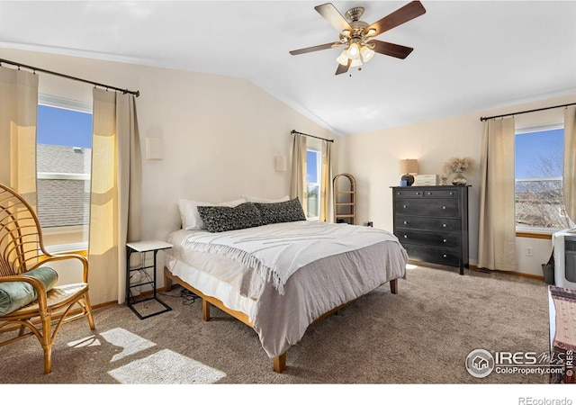 carpeted bedroom with lofted ceiling, multiple windows, a ceiling fan, and baseboards