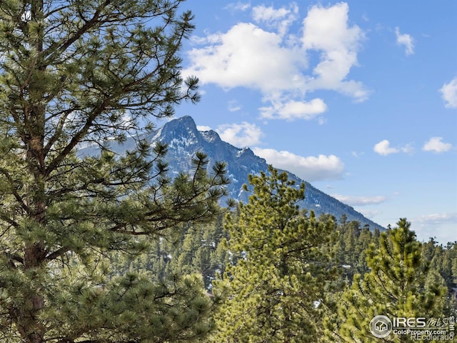 view of mountain feature