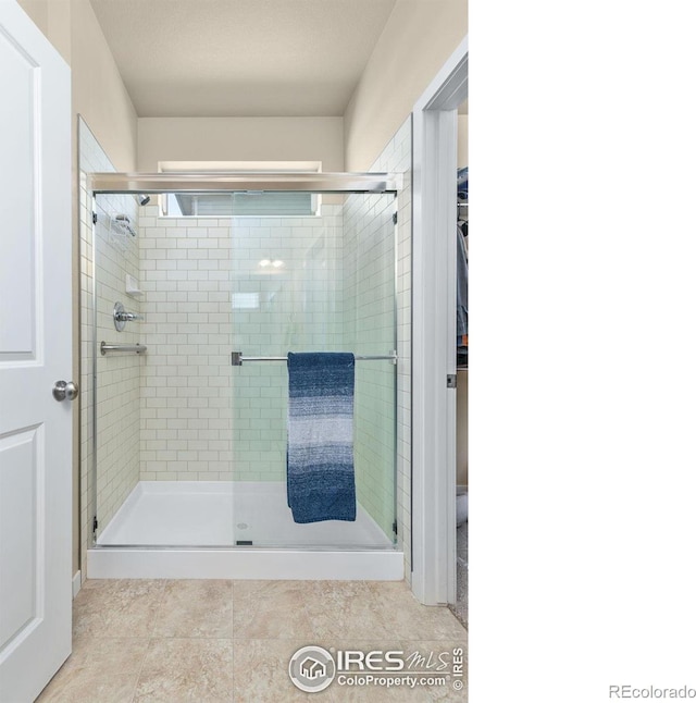 3948 Hackberry St, Wellington, CO 80549 - full bath featuring a walk in closet and a stall shower